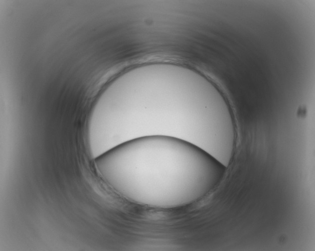 X0000114390062200910161042