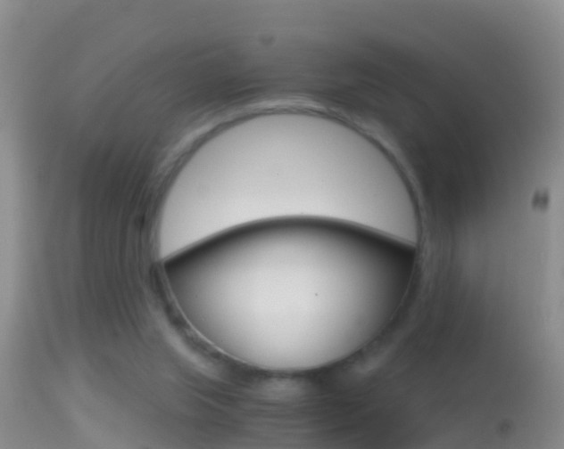 X0000114390063200910161042