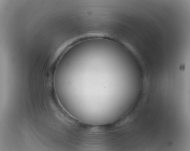 X0000114390064200910161042
