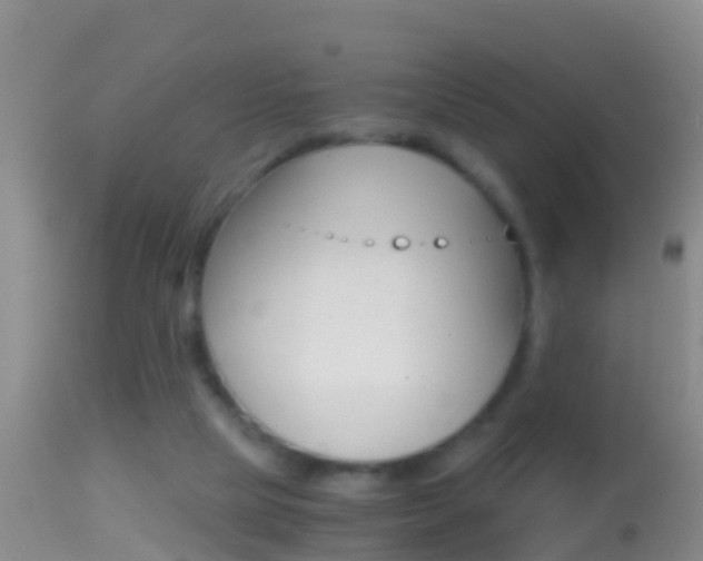 X0000114390065200910161042