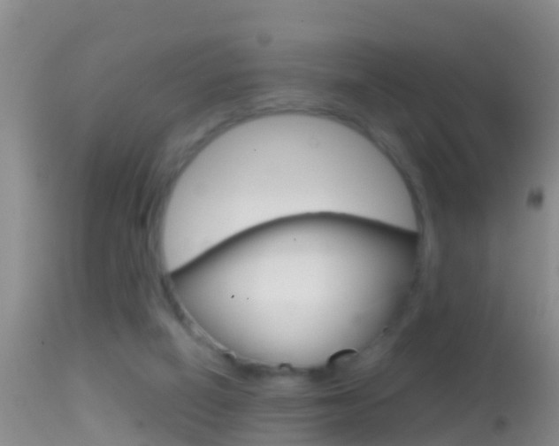X0000114390066200910161042