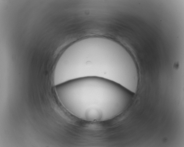 X0000114390067200910161042