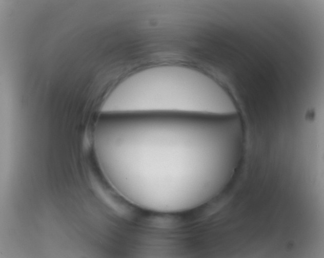 X0000114390069200910161042