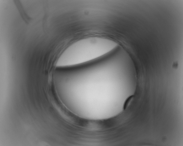 X0000114390070200910161042