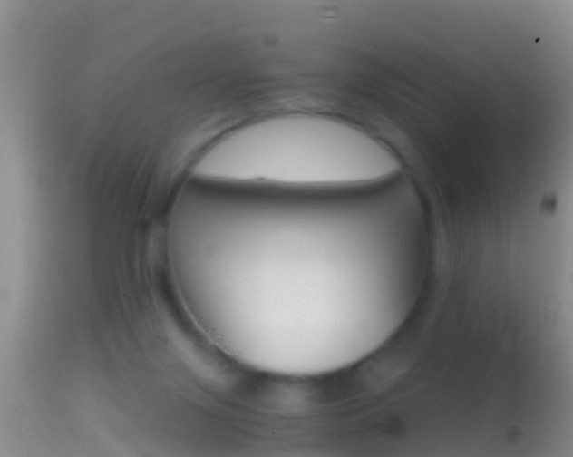 X0000114390071200910161042