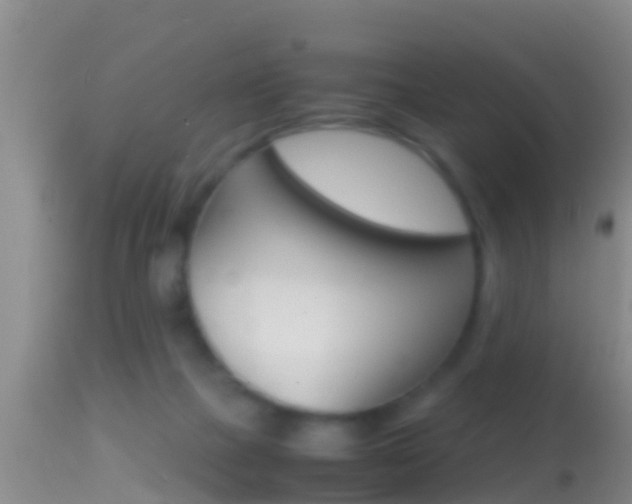 X0000114390073200910161042