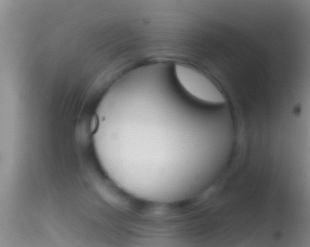 X0000114390074200910161042