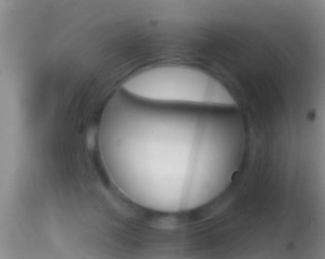 X0000114390075200910161042