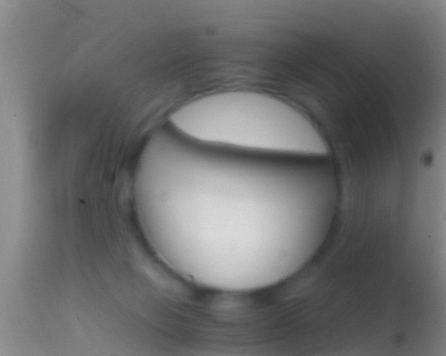 X0000114390077200910161042