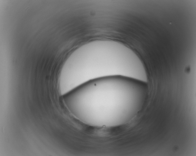 X0000114390078200910161042