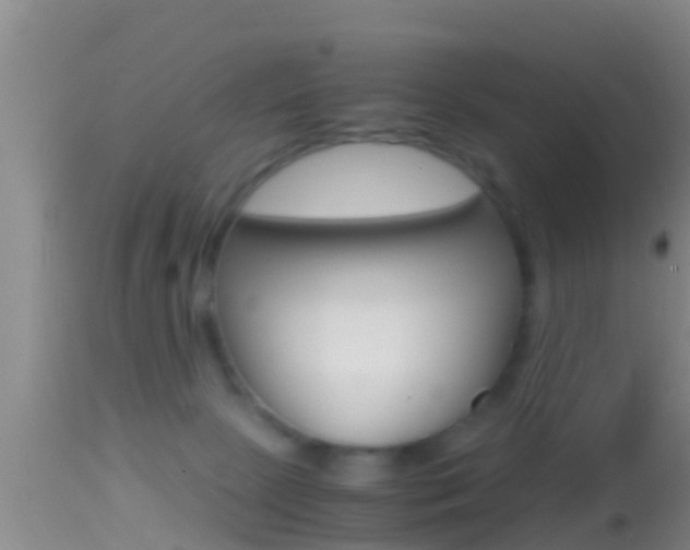 X0000114390081200910161042