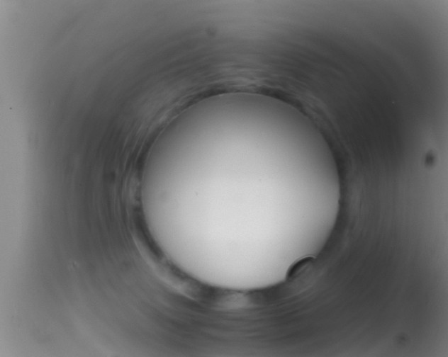 X0000114390083200910161042