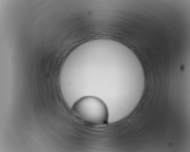 X0000114390084200910161042