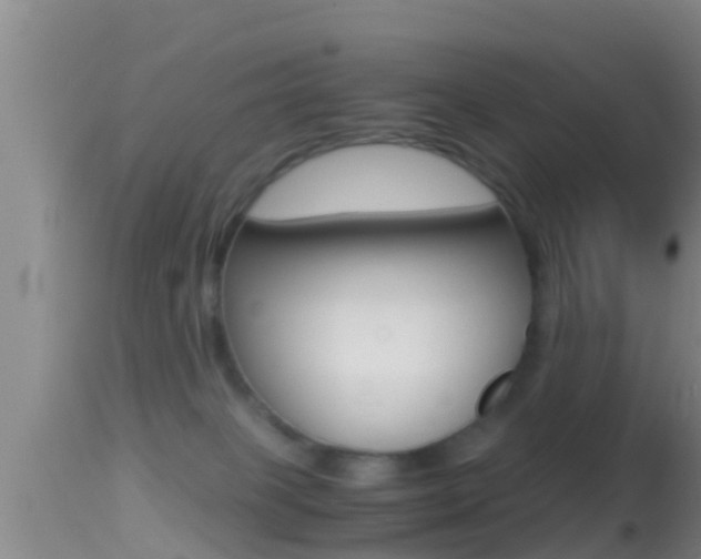 X0000114390085200910161042
