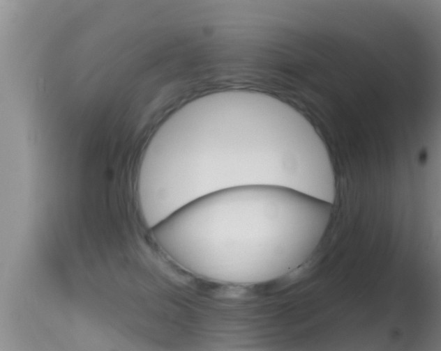 X0000114390086200910161042