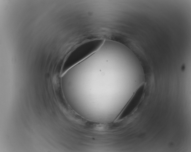 X0000114390088200910161042