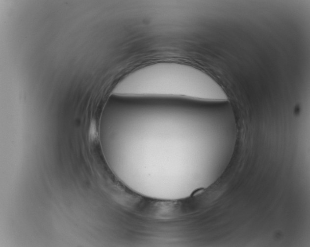 X0000114390089200910161042