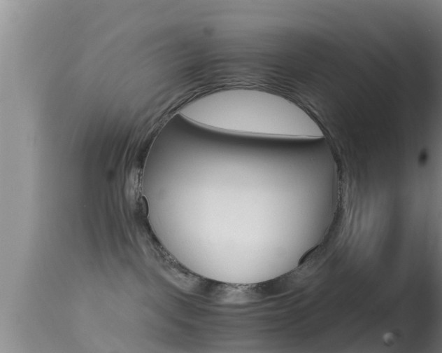 X0000114390093200910161042