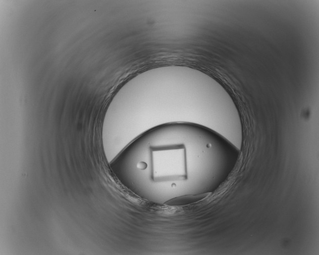 X0000114390096200910161042