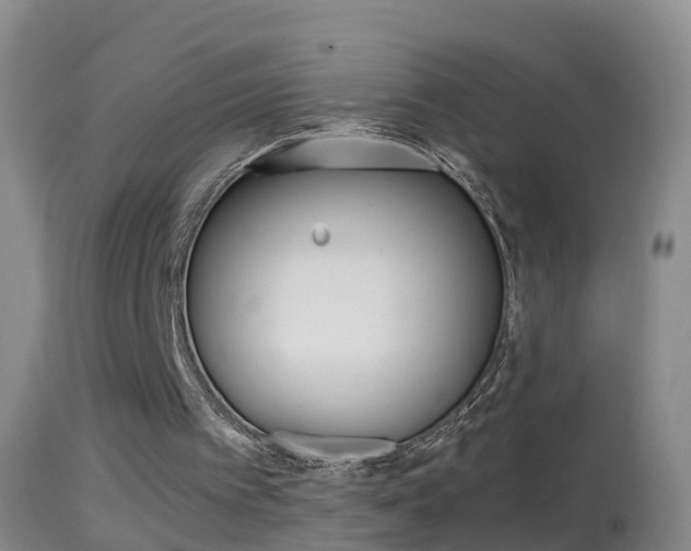 X0000114390097200910161042