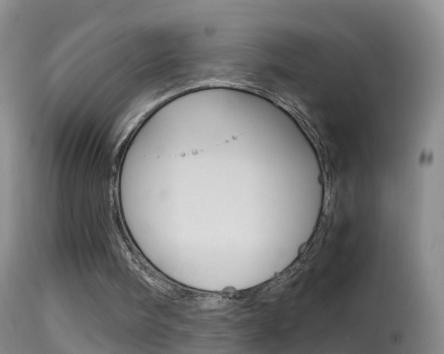 X0000114390098200910161042