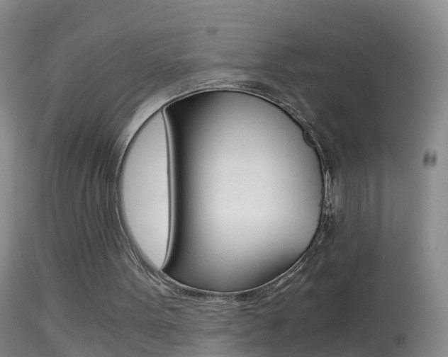 X0000114390099200910161042