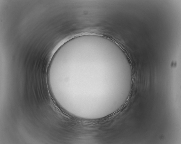 X0000114390100200910161042