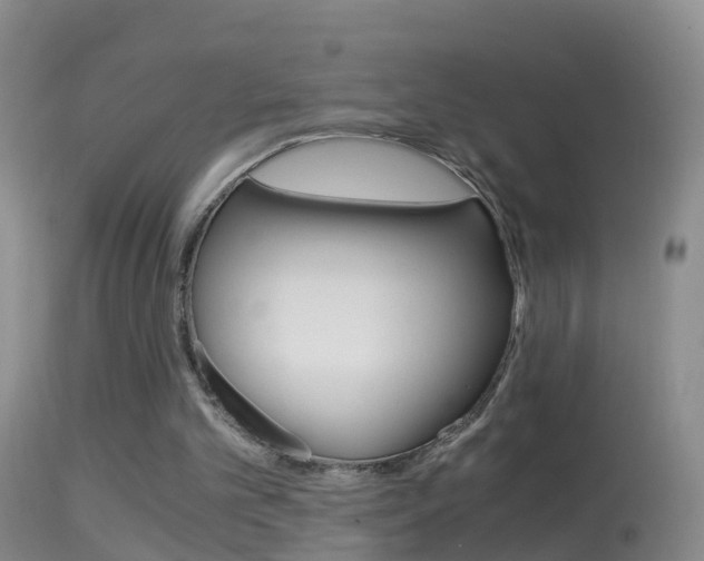 X0000114390101200910161042
