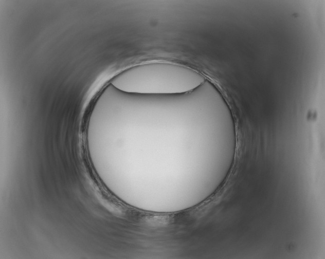 X0000114390102200910161042
