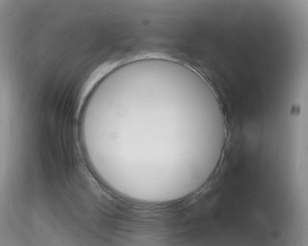 X0000114390104200910161042