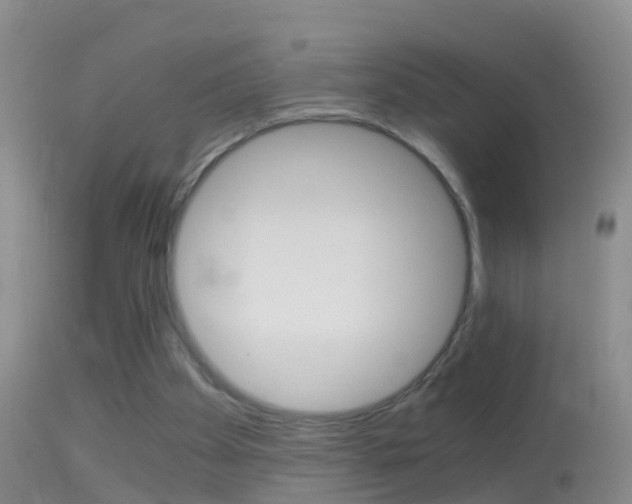 X0000114390105200910161041