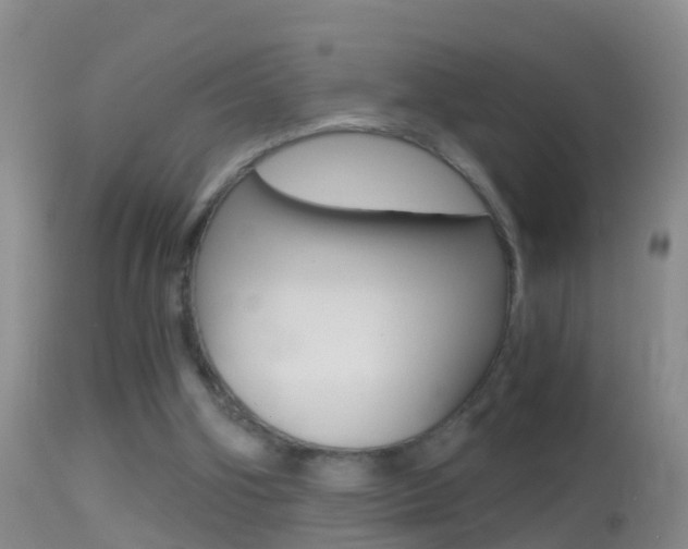 X0000114390106200910161041