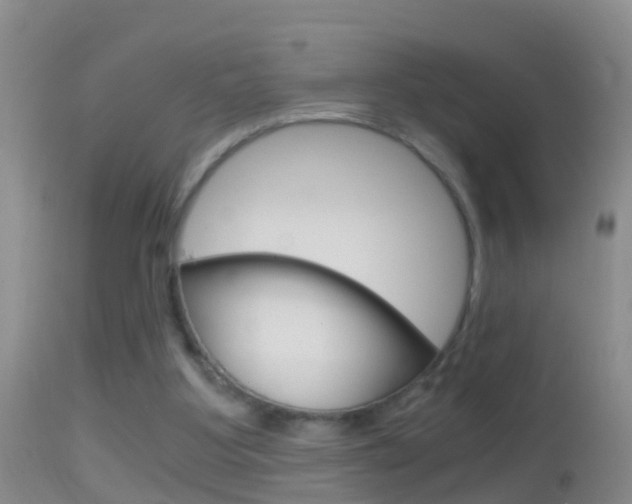 X0000114390107200910161041