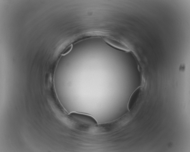X0000114390109200910161041