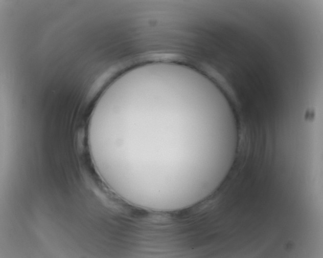 X0000114390110200910161041