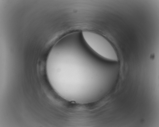 X0000114390115200910161041