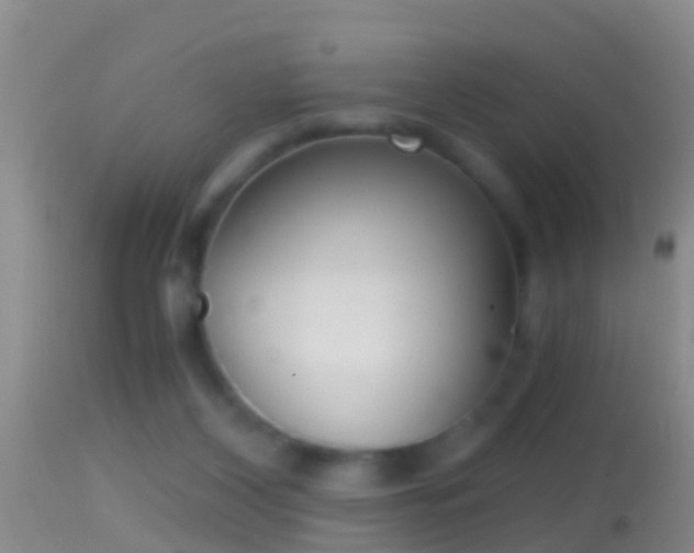 X0000114390116200910161041