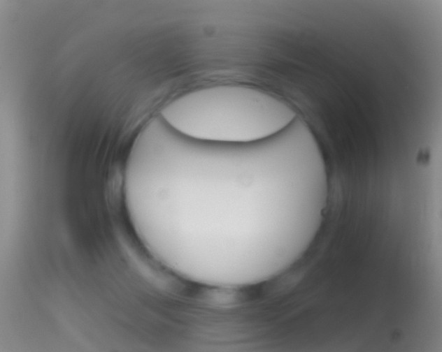 X0000114390118200910161041