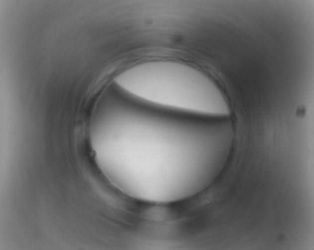 X0000114390119200910161041