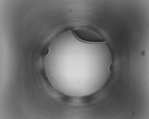 X0000114390121200910161041