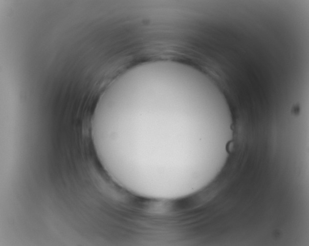 X0000114390122200910161041