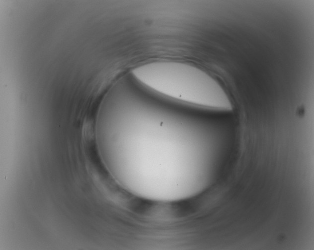 X0000114390123200910161041