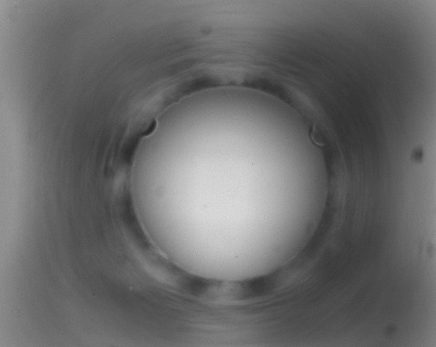 X0000114390125200910161041