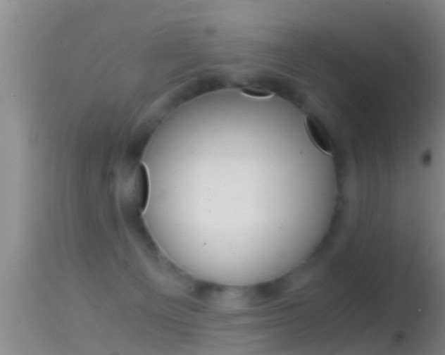 X0000114390129200910161041