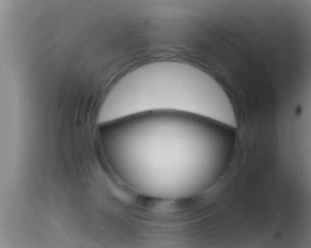 X0000114390132200910161041