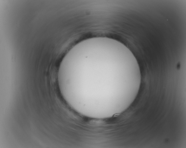 X0000114390133200910161041