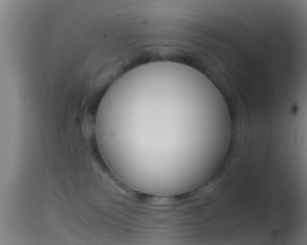 X0000114390135200910161041