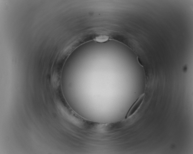 X0000114390136200910161041