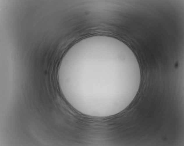 X0000114390137200910161041