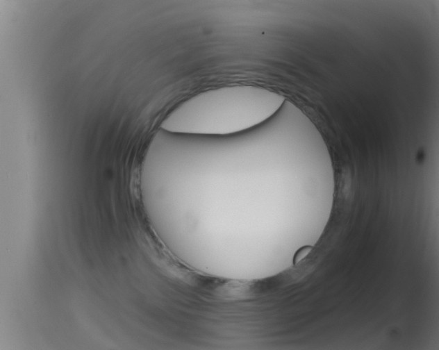 X0000114390138200910161041